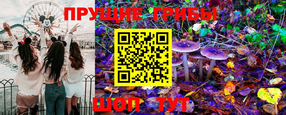 Галлюциногенные грибы GOLDEN TEACHER  Галлюциногенные грибы мухоморы  Кумертау  Вход с VPN 