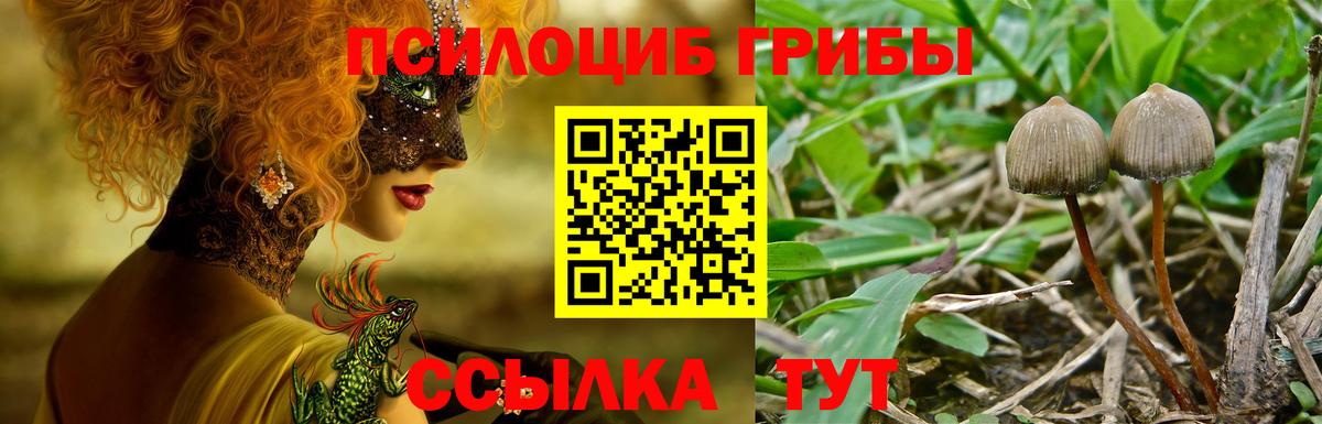 Галлюциногенные грибы мицелий  сколько стоит  Кумертау 